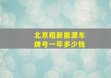 北京租新能源车牌号一年多少钱