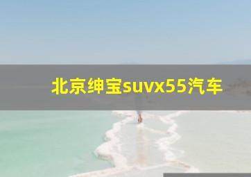 北京绅宝suvx55汽车