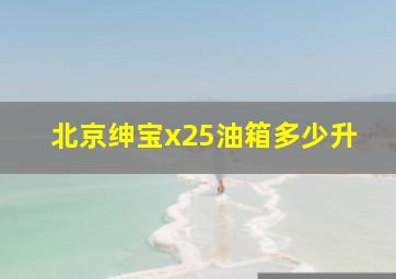 北京绅宝x25油箱多少升