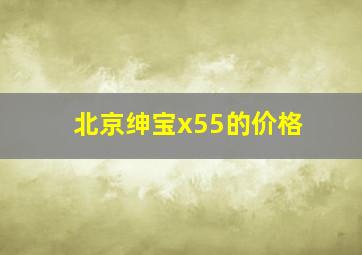 北京绅宝x55的价格