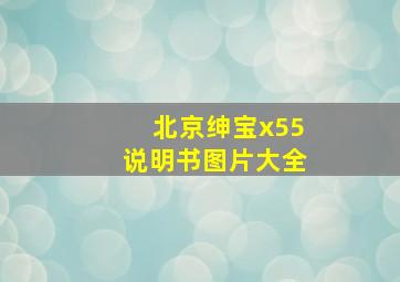 北京绅宝x55说明书图片大全