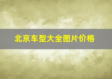 北京车型大全图片价格