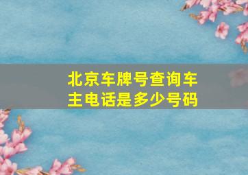 北京车牌号查询车主电话是多少号码