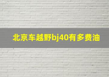 北京车越野bj40有多费油