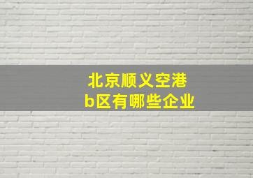 北京顺义空港b区有哪些企业