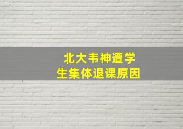 北大韦神遭学生集体退课原因