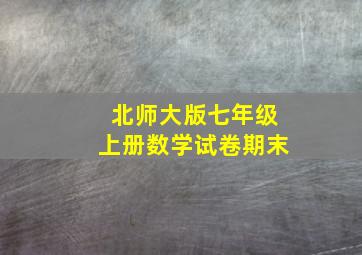 北师大版七年级上册数学试卷期末