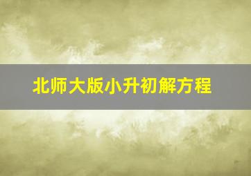 北师大版小升初解方程