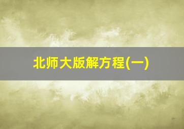 北师大版解方程(一)