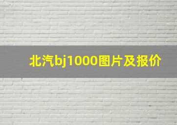 北汽bj1000图片及报价