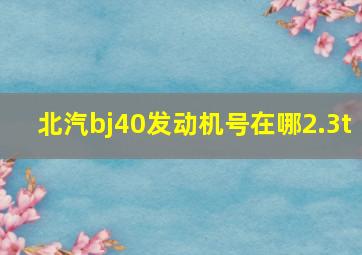 北汽bj40发动机号在哪2.3t