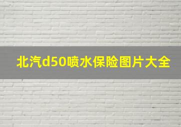 北汽d50喷水保险图片大全