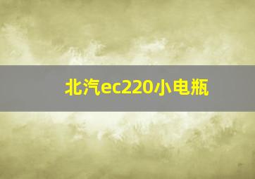 北汽ec220小电瓶