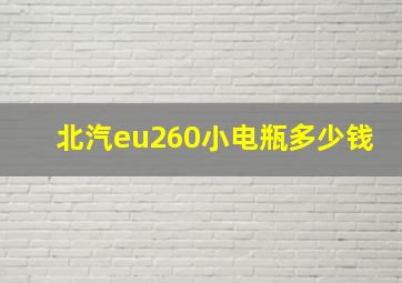 北汽eu260小电瓶多少钱