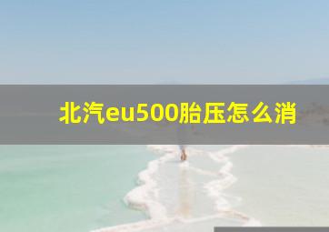 北汽eu500胎压怎么消