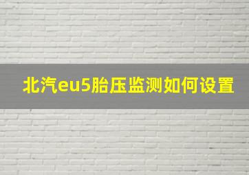 北汽eu5胎压监测如何设置