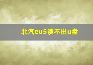 北汽eu5读不出u盘