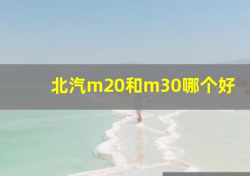 北汽m20和m30哪个好