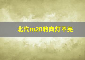 北汽m20转向灯不亮