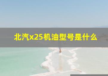 北汽x25机油型号是什么