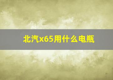 北汽x65用什么电瓶