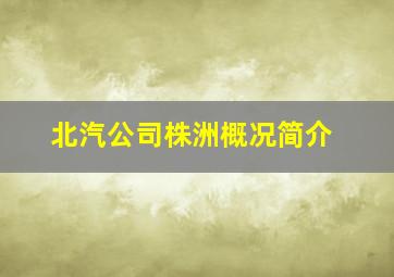 北汽公司株洲概况简介