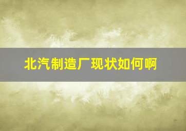 北汽制造厂现状如何啊