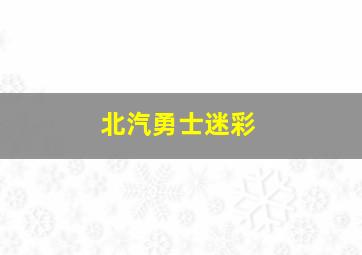 北汽勇士迷彩