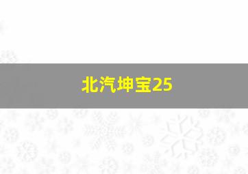 北汽坤宝25