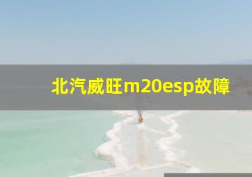 北汽威旺m20esp故障