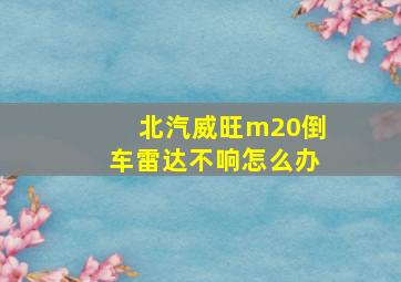 北汽威旺m20倒车雷达不响怎么办