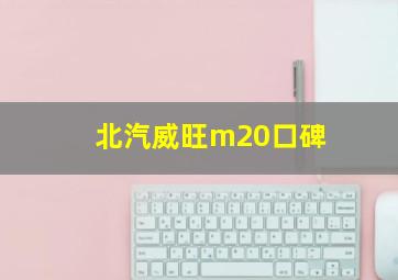 北汽威旺m20口碑