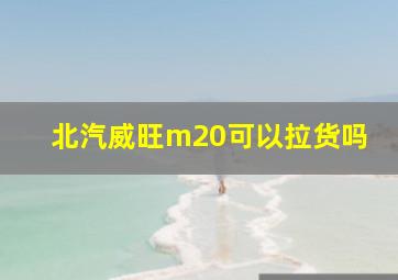 北汽威旺m20可以拉货吗