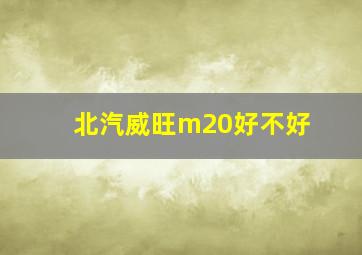 北汽威旺m20好不好