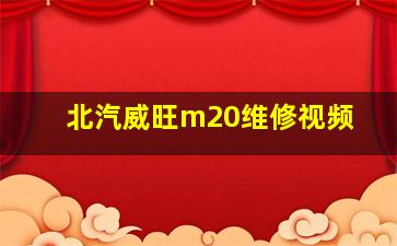 北汽威旺m20维修视频