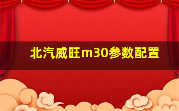 北汽威旺m30参数配置