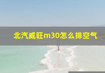 北汽威旺m30怎么排空气