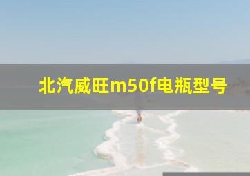 北汽威旺m50f电瓶型号