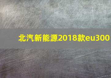 北汽新能源2018款eu300