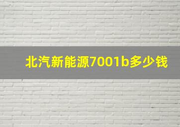 北汽新能源7001b多少钱