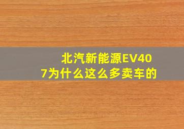 北汽新能源EV407为什么这么多卖车的