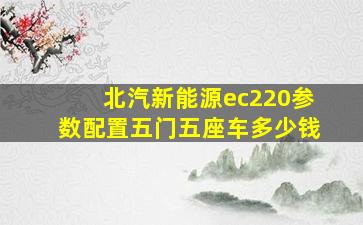 北汽新能源ec220参数配置五门五座车多少钱