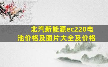 北汽新能源ec220电池价格及图片大全及价格