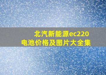 北汽新能源ec220电池价格及图片大全集