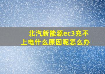 北汽新能源ec3充不上电什么原因呢怎么办