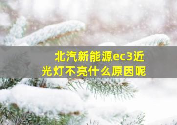 北汽新能源ec3近光灯不亮什么原因呢