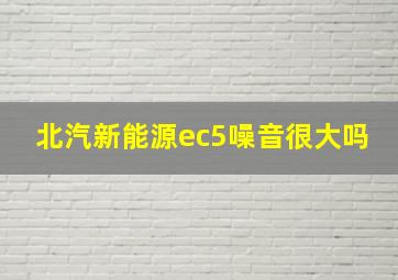 北汽新能源ec5噪音很大吗