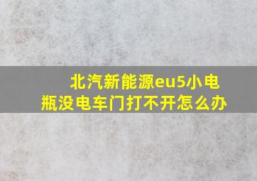 北汽新能源eu5小电瓶没电车门打不开怎么办