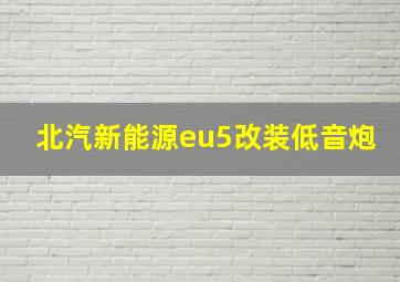 北汽新能源eu5改装低音炮