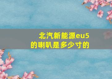 北汽新能源eu5的喇叭是多少寸的